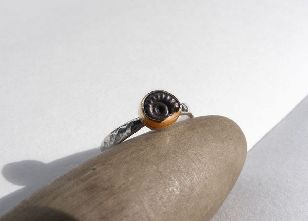 Ammonite ring silver hammered band bezel set in 9ct gold