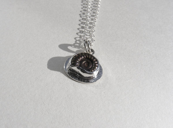 Ammonite pendant with 18 inch fine trace chain